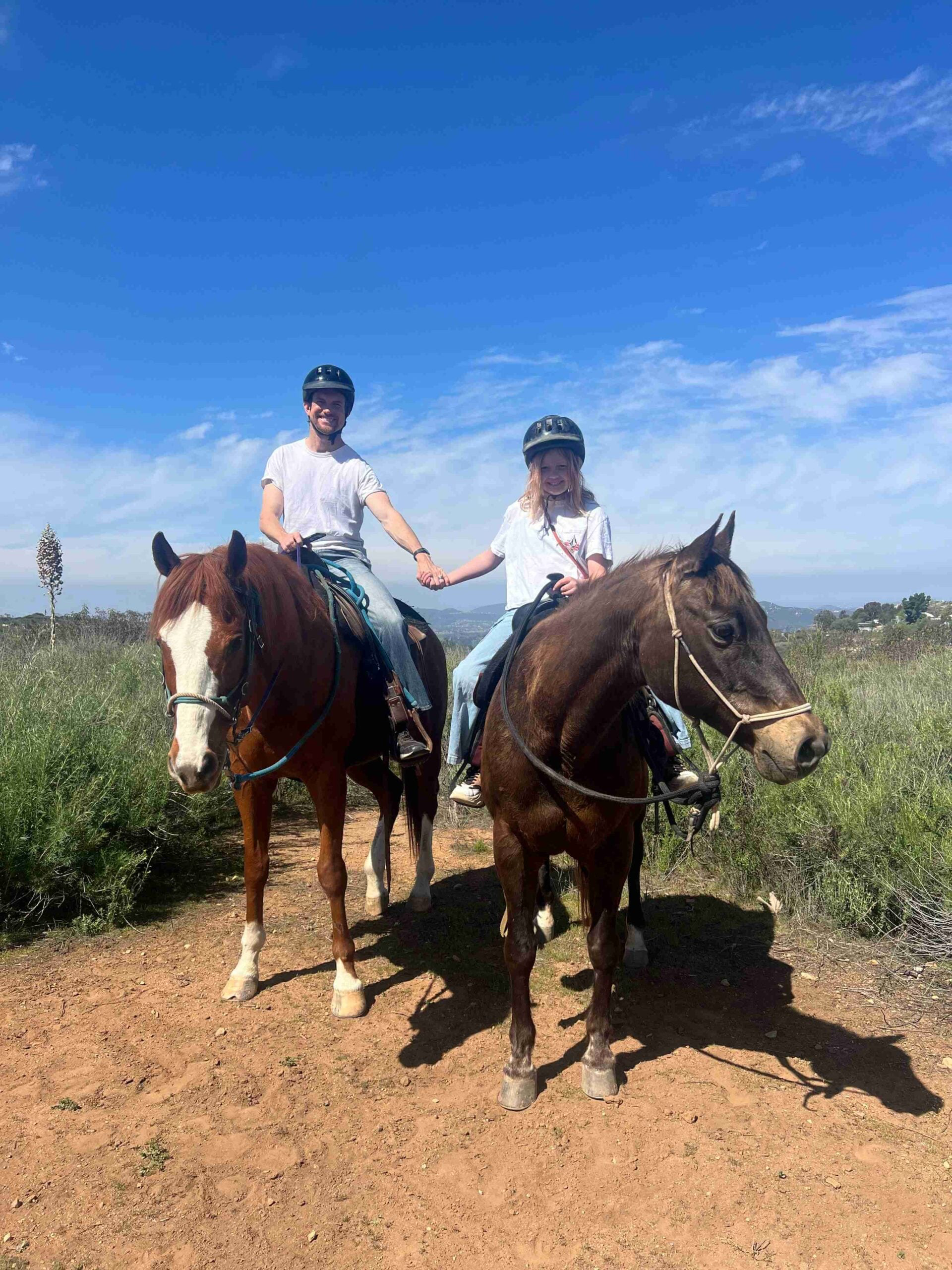 Horses at the San Diego Trail Company ranch in Poway